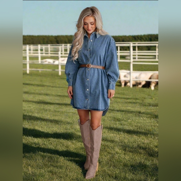 Oversized Denim Boyfriend Pocket Jean Collar Shirt Dress Long Sleeve High-low Mi - Picture 3 of 14